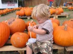 IMG_2670.JPG