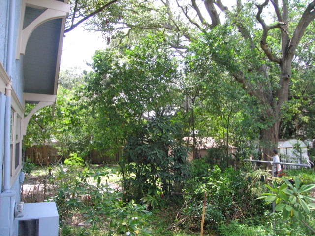 IMG_1825.JPG