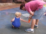IMG_2251.JPG