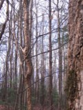 IMG_2874.JPG