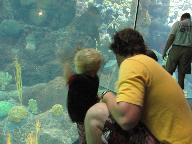 IMG_1664.JPG
