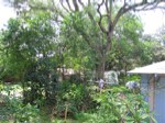 IMG_1824.JPG
